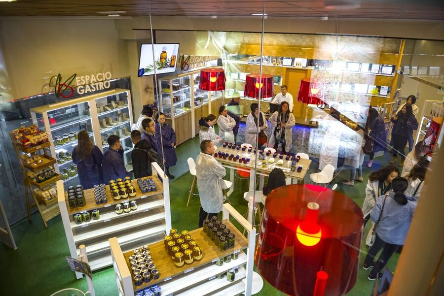 Jaén Discover the Secrets of Olive Oil: Tour & Tasting - Should you book the Jaén olive oil tour?