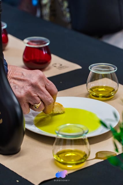 Jaén: Guided Olive Grove Tour - Price, timing, and the question of value