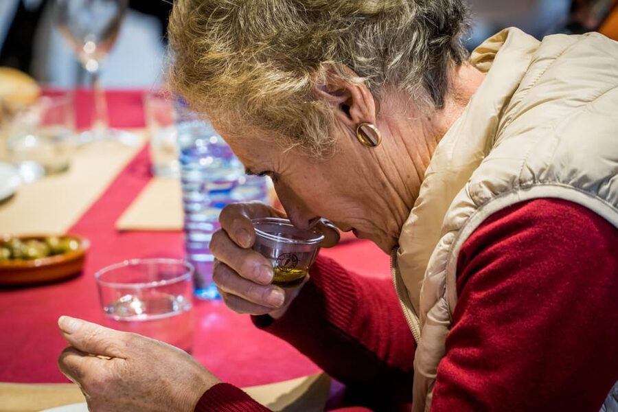 Jaén: Guided Olive Mill Tour with Olive Oil Tasting - The cellar and the story behind storage