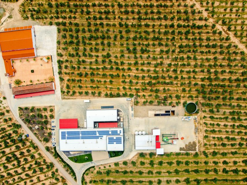 Jaen: Olive oil tour with the 5 senses, grove and tasing - Getting to the Jabalquinto meeting point