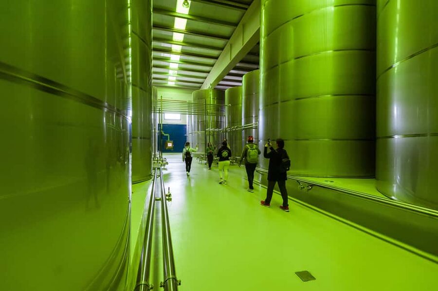 Jaén: Unforgettable visit to the olive mill + EVOO tasting - Key points to know before you book