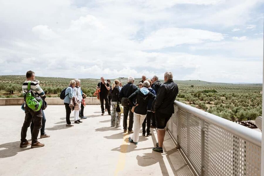 Jaén: Unforgettable visit to the olive mill + EVOO tasting - Arriving at Picualia’s gourmet shop