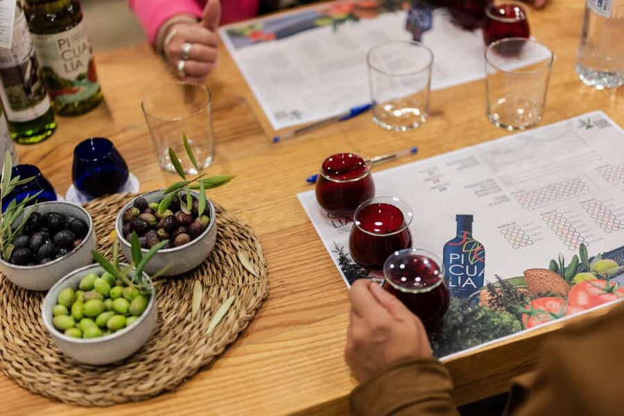 Jaén: Unforgettable visit to the olive mill + EVOO tasting - Olive groves with wide Jaén views