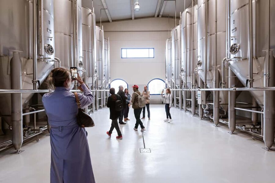 Jaén: Unforgettable visit to the olive mill + EVOO tasting - The 45-minute guided tour inside the mill