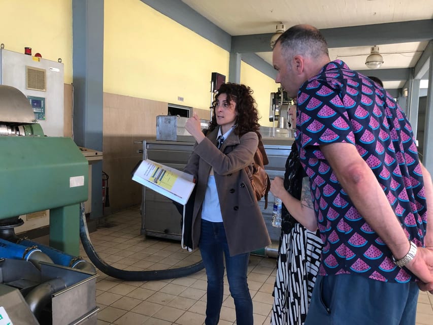 Kalamata, Greece: Organic Olive Grove Tour-Olive oil tasting - Tasting Koroneiki and other Greek varieties