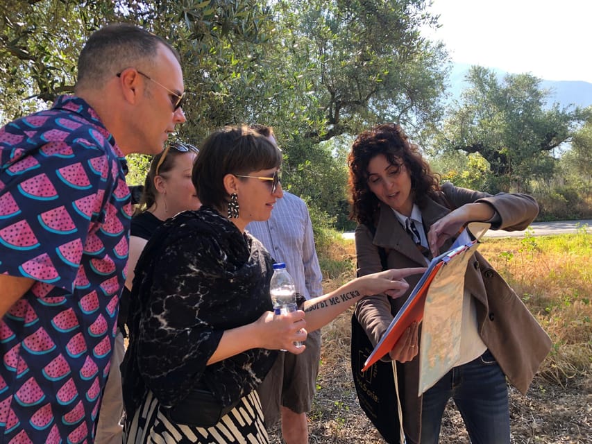 Kalamata, Greece: Organic Olive Grove Tour-Olive oil tasting - Timing, access, and practical planning