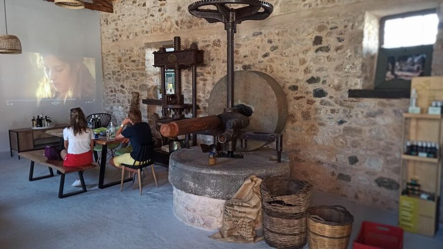 Kalamata: The Olive Oil Routes Tour - Inside a 120-year-old olive oil mill