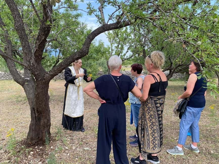 Kastela: Wine & Olive Tasting Tour w/Delicacies & Live Music - Understanding grapes, olives, and extra virgin oil