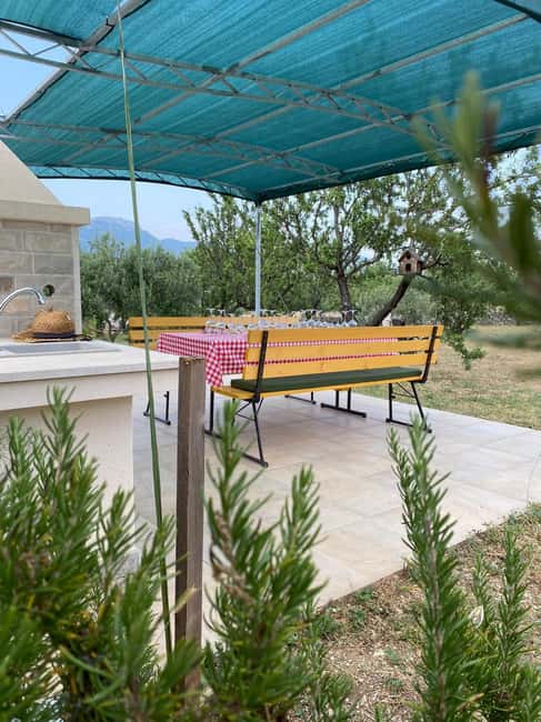 Kastela: Wine & Olive Tasting Tour w/Delicacies & Live Music - Who will enjoy this experience most?
