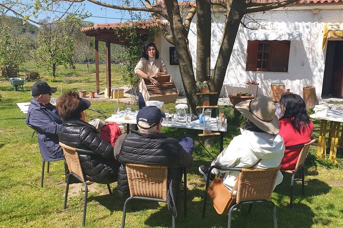 Katakolon Small Group Tour: Olympic site, Honey/Olive Oil Tasting - Olive oil, wine, and local products at Padelina