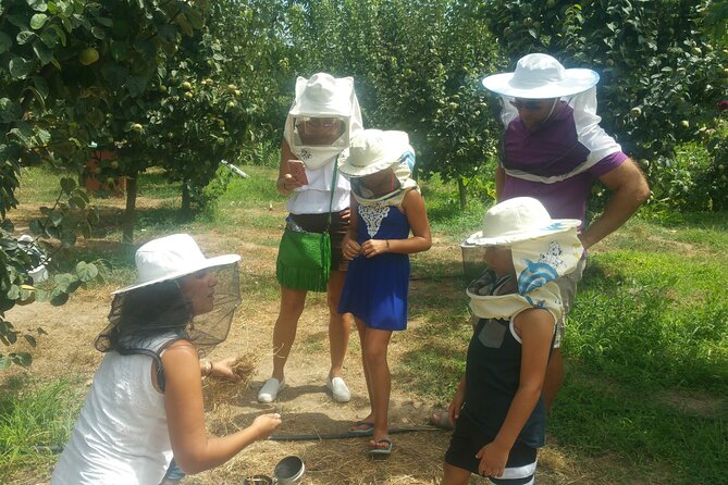 Katakolon Small Group Tour: Olympic site, Honey/Olive Oil Tasting - Should you book it?