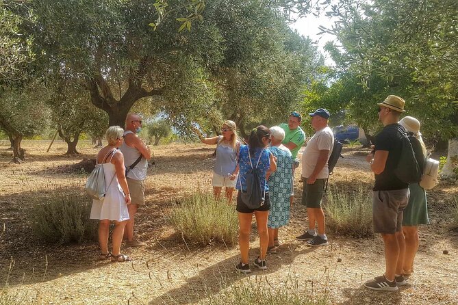 Kefalonia: Private Olive Oil, Honey & Wine Tasting Experience - Wine and Ionian views at Sarris Winery