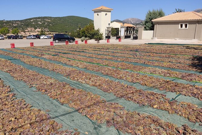 Kefalonia: Private Olive Oil, Honey & Wine Tasting Experience - Who will enjoy this best?