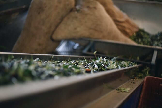 Kleanthi Olive Farm: Guided Tour with Local Delicacies Tasting - The tasting table is the heart of the visit