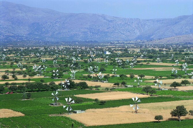 Knossos & lasithi plateau villages,Zeus's cave,&olive oil Mill - Windmills and the high Lasithi Plateau