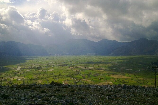 Knossos & Lasithi Plateau: Zeus Cave,Villages, Olive Oil Tour - Omalia Olive Press: start with Crete’s liquid gold