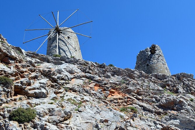 Knossos Palace and/or Zeus Cave + Olive Mill | Local & Private - The ancient Platanus Tree