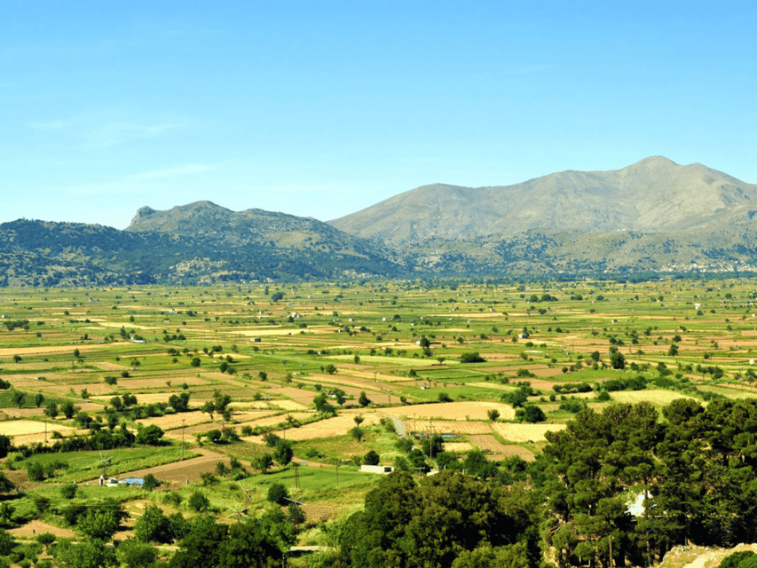 Knossos Palace &/or Zeus Cave + Olive Mill | Local & Private - Who gets the best value from this tour