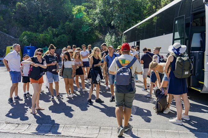 Krka Waterfalls Tour with Wine and Olive Oil Tasting - What the price really buys you