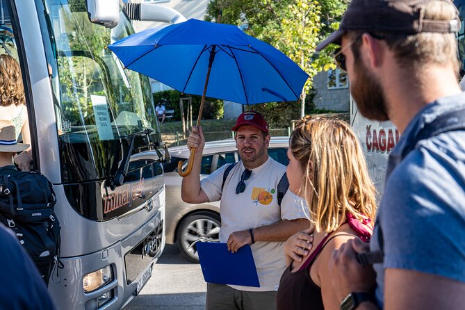 Krka Waterfalls Tour with Wine and Olive Oil Tasting - Should you book it?