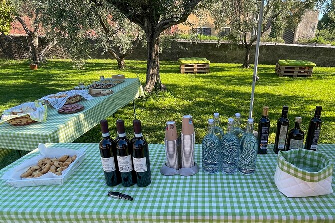 Lake Garda Olive Oil Tour and Tasting Experience - Comparing four Lake Garda olive oils