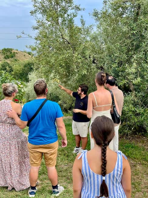 Lake Garda: Tour with 4 Olive Oil Tasting & Local Food - Arriving at Via Bragati, 7