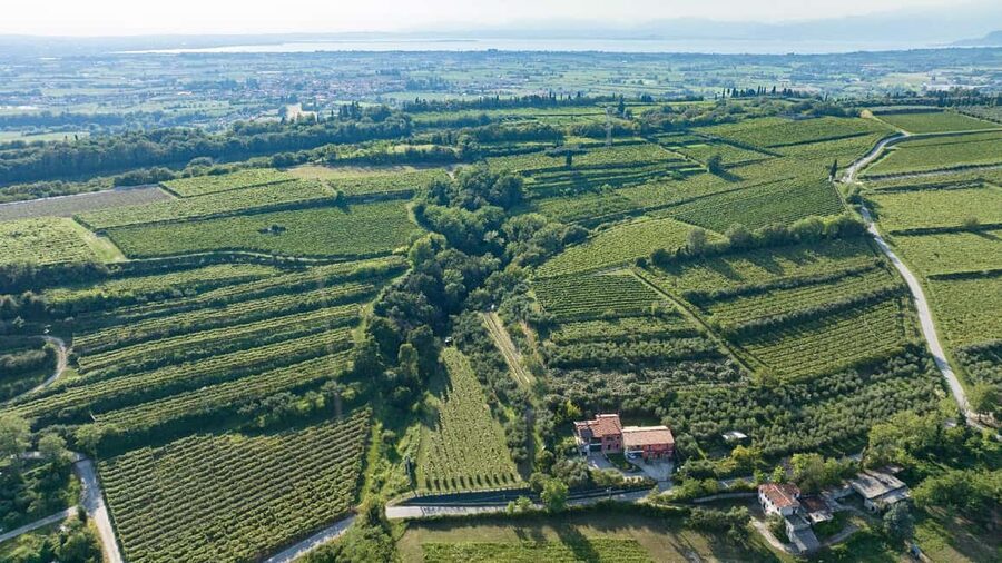 Lake Garda: Tour with 4 Olive Oil Tasting & Local Food - What the award labels mean for you