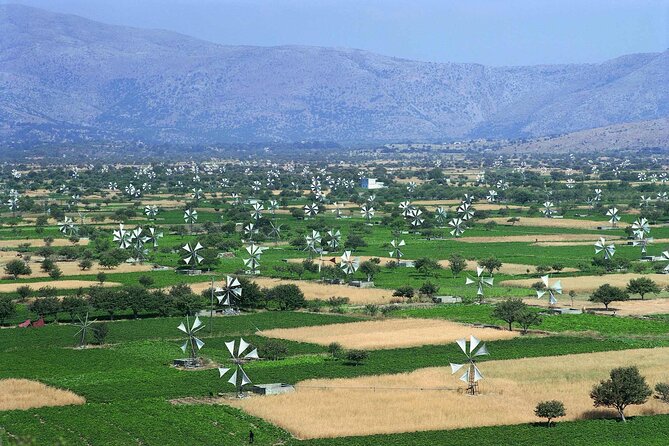 Lasithi - Zeus Cave -Olive Oil Factory - Traditional Villages - Key points to know before booking