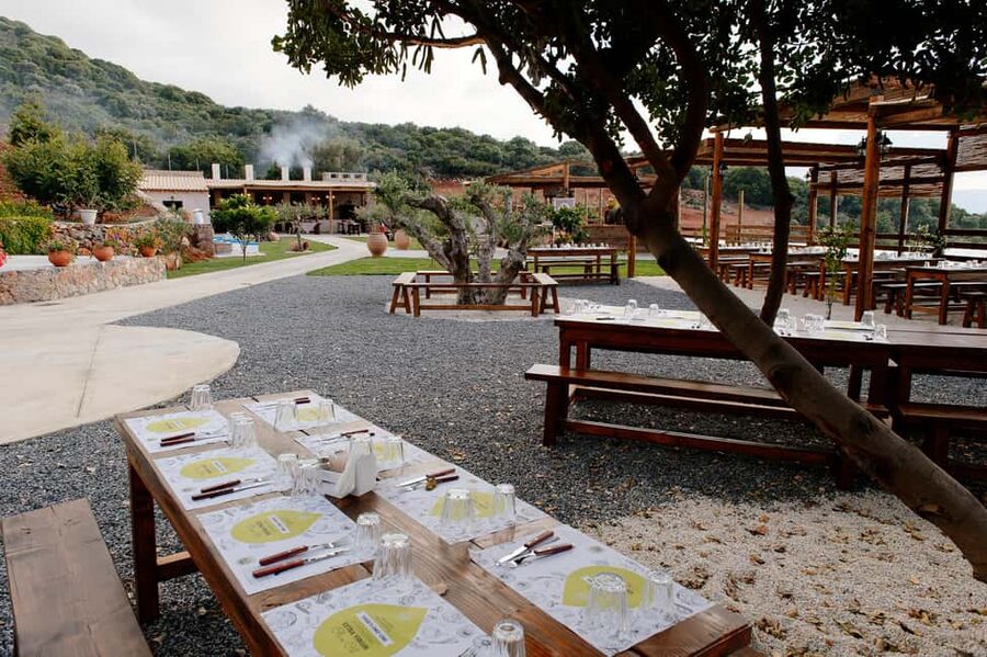 Lassithi, Zeus Cave, Olive Mill Farm & Knossos Combo Tour - Olive oil, honey, and lunch with a view