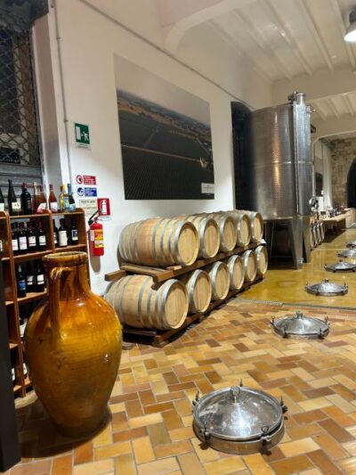 E-Bike Tour to Galatina Olive Mill & Wine taste +Taxi