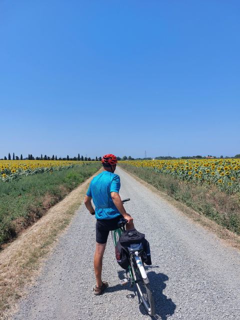 Lecce: E-Bike Tour to Galatina Olive Mill & Wine taste +Taxi - The private taxi back to Lecce