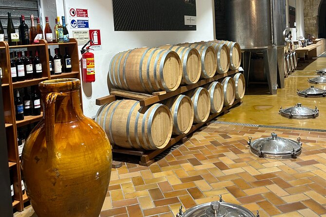Lecce to Galatina E-Bike: Olive Mill & Wine Tasting + Taxi back - Pasticciotto at Pasticceria Ascalone