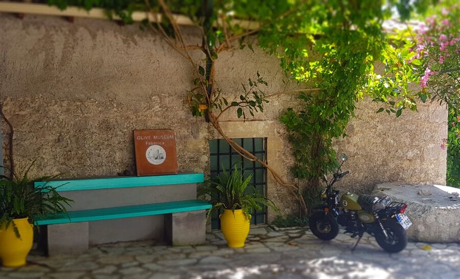 Lefkada: Olive Museum Fabbrica Ticket and Guided Tour - The opening video explains today’s olive oil