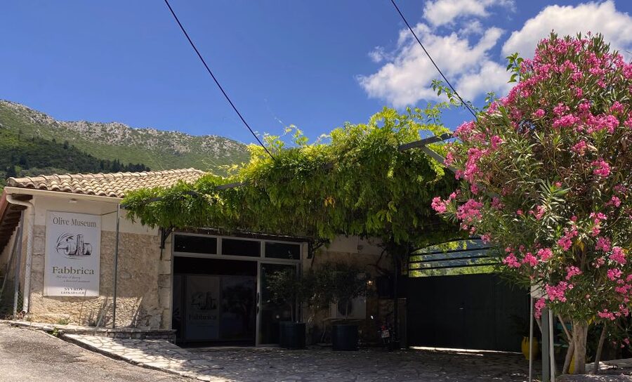 Lefkada: Olive Museum Fabbrica Ticket and Guided Tour - The tasting in the old warehouse
