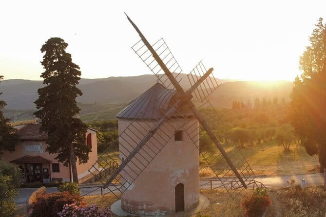 Leonardo Da Vinci's wind mill visit and Organic olive oil tasting - Walking through the olive groves