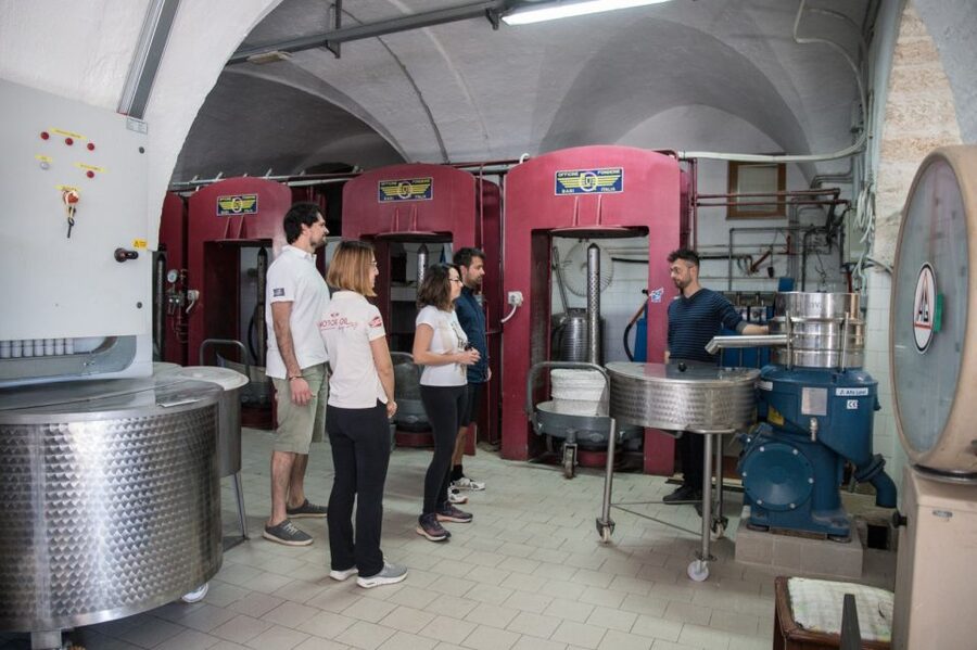 Locorotondo: Guided E-bike Tour & Olive Oil Tasting - Should you book the Locorotondo e-bike tour?