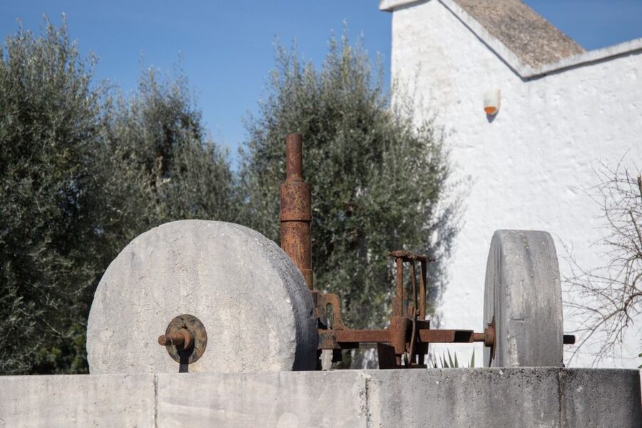 Locorotondo: Guided E-bike Tour & Olive Oil Tasting - Learning to taste extra virgin olive oil