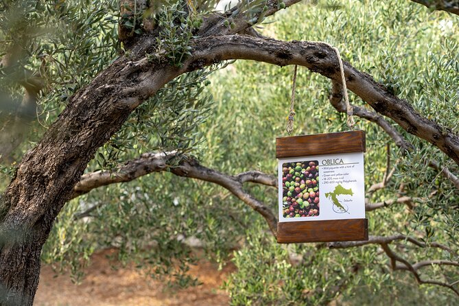 Makarska Tuk Tuk Tour Olive Grove, Scenic Views and Tastings - St. Peter, history, views, and cherry liqueur