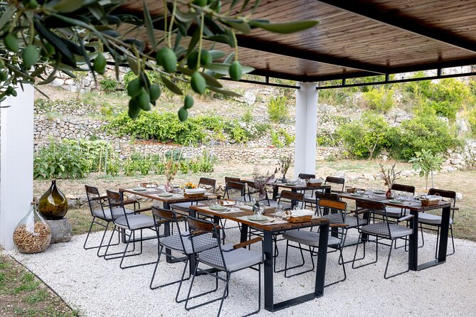 Makarska Tuk Tuk Tour Olive Grove, Scenic Views and Tastings - How much value do you get for $58.47?