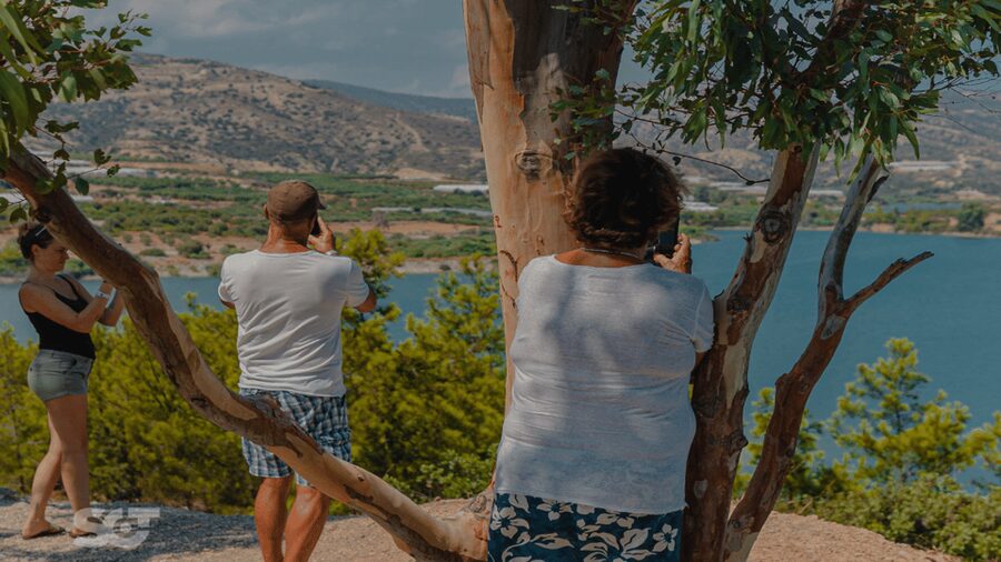 Makrigialos-Ierapetra: Hidden Villages & Olive Oil Farm Tour - Starting with olive oil near Agios Nikolaos