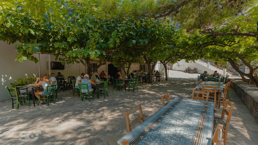 Makrigialos-Ierapetra: Hidden Villages & Olive Oil Farm Tour - What the guides add to the day