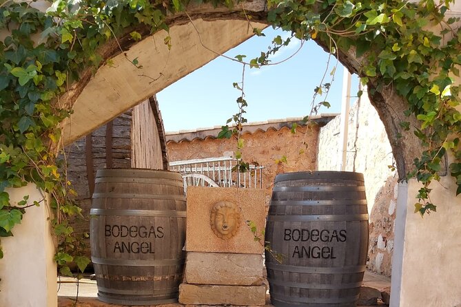 Mallorca Bodega & Olive Minibus Tour incl. Pick-up South Coast - Through Mallorca’s wine country by minibus