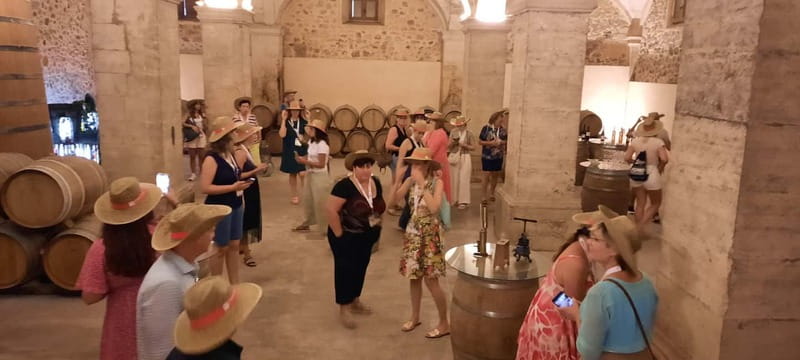 Mallorca: Bodega & Olives Minibustour with wine/oil tasting - Touring the bodega and tasting local wines