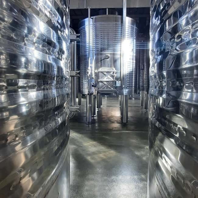 Mallorca: Bodega & Olives Minibustour with wine/oil tasting - Is $152 a fair price?