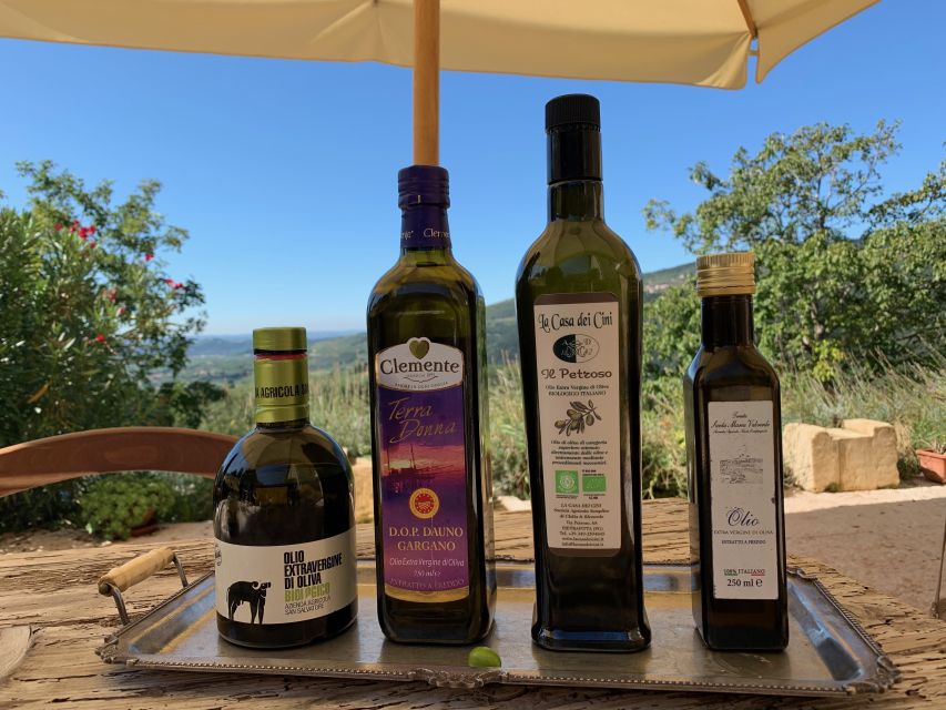 Marano di Valpolicella: DOP Olive Oil Tasting Experience - Key Points to Know Before You Go