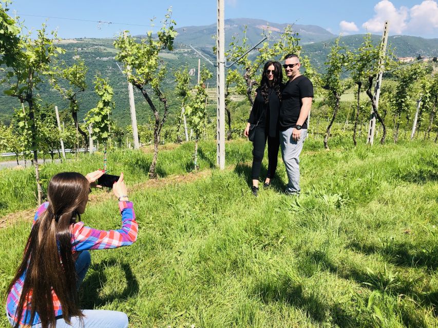 Marano di Valpolicella: DOP Olive Oil Tasting Experience - Why the Olive Oil Tasting Is More Than a Snack