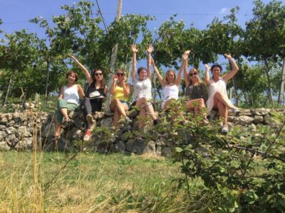 Marano di Valpolicella: DOP Olive Oil Tasting Experience