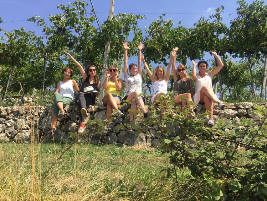 Marano di Valpolicella: DOP Olive Oil Tasting Experience - Walking Through the Olive Garden at Tenuta Santa Maria Valverde