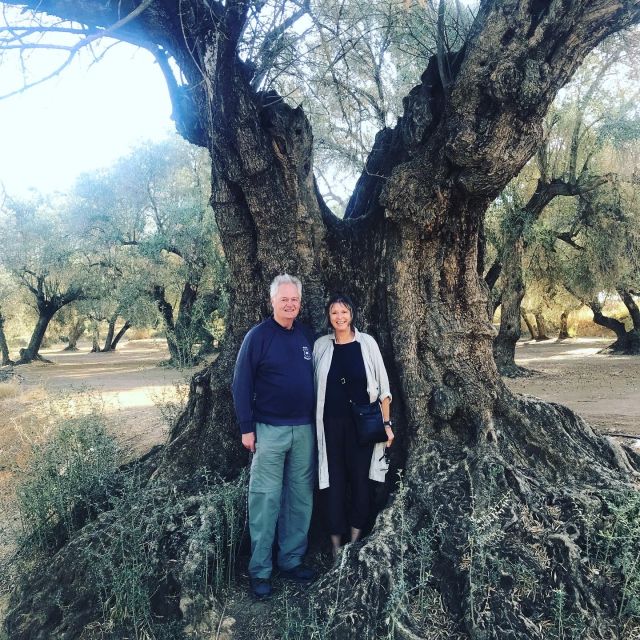 Midday Olive Oil Tour and Visit to Old Town of Belchite - Should you book the olive oil and Belchite tour?