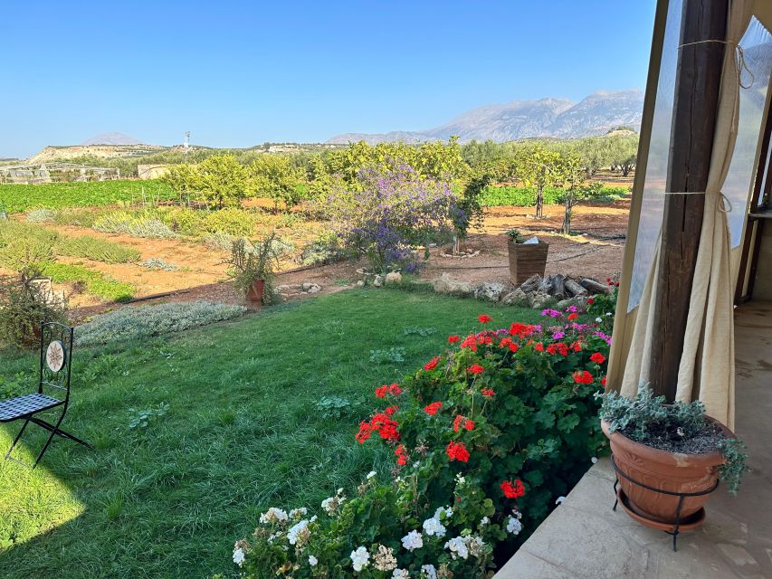 Moires: Cooking Class and Olive Oil Tasting at a Family Farm - Learning what real extra virgin olive oil means